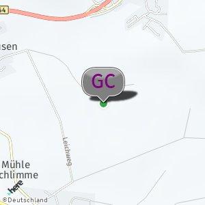 Ruhiger Wald