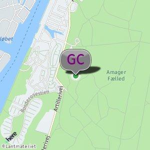 Amager fælled