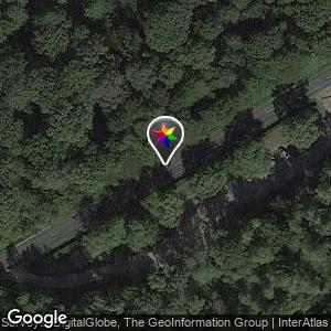 Forêt de FERRIERES - La planchette