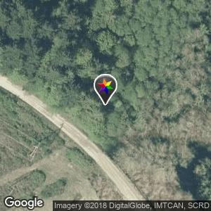 Field Rd trails