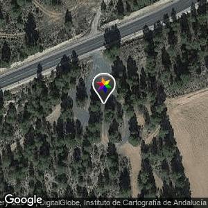 Barranda, los pinos