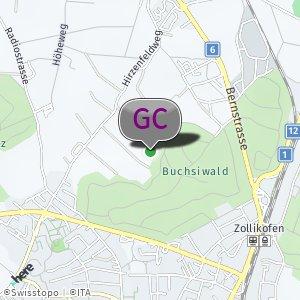 Zollikofen Waldrand