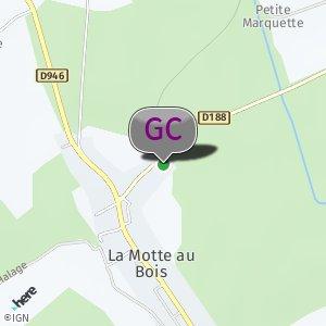 Forêt 