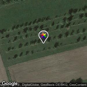 Feld