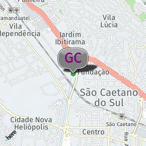 Terreno baldio com muitas árvores