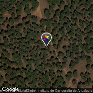Pinares de la marquesa