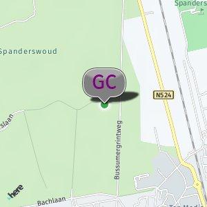 Spaanderswout