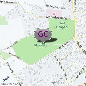 Vlakwater bos