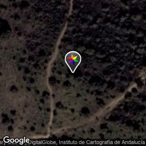 Donpalote