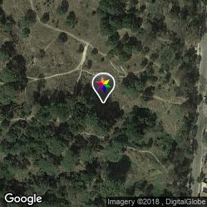 Zona Forestal