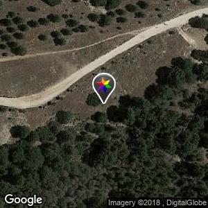 Camino principal del parque de la Dehesa