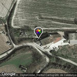 Zona del castillo