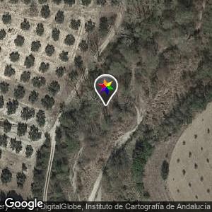 Pinar en el Pantano de Colomera