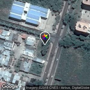 Lote Baldio con Vegetación