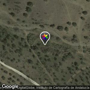 Campo Los Toros