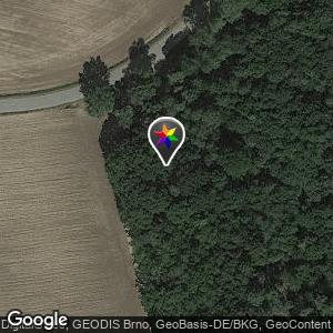 Waldweg bei wammersdorf
