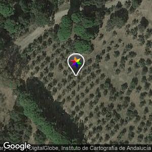Los Morales