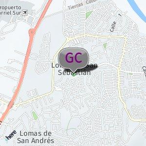 Bosques Kingston