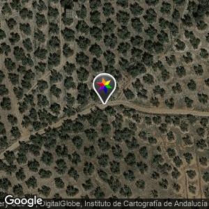 Camino de la Media Legua