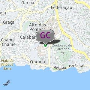 Mata atrás Escola de Dança