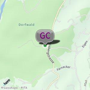 Dorfwald