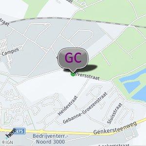Borggravevijver