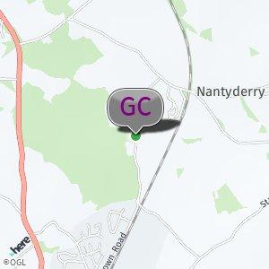 Edge of Goytre Forest