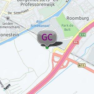 Cronestijn