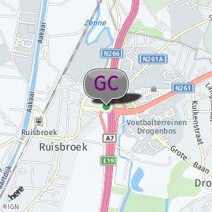 Bosjes Naast Autosnelweg