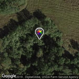 Turkey bluff