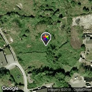 Barna woods