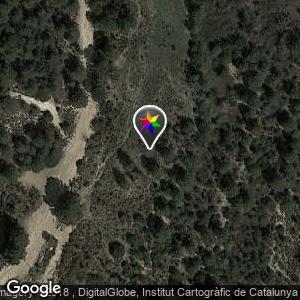 Bosque al lado del FGC en Les Fonts