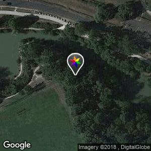 Bois de Thouars