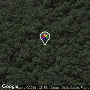 Springbrook Rest Area / Toilet