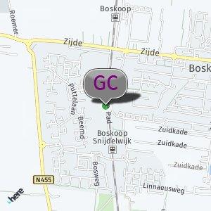 Zwarte pad