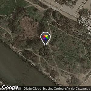 En la desembocadura del Río Besós