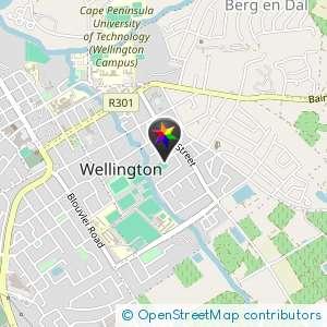 Wellington Cruise