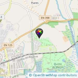 Pinheiros de Marin