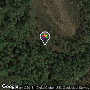 March Crew Management Trails