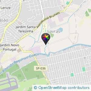 Rapidiniha