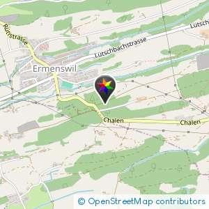 Zwischen Eschenbach und Ermenswil im Wald