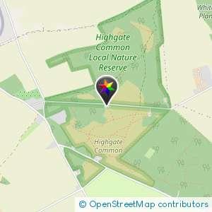 Highgate Common