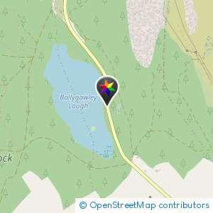 Ballygawley Lake
