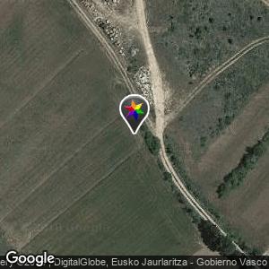 Pinar en ruta a pie