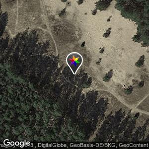 Grunewald, südlich von  der Sandgrube