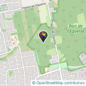 Tout la Région bois de l'équerre le soir