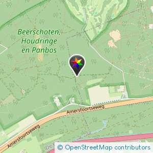 Bosch en duin