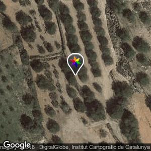 Area de picnic