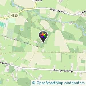 Bos bij vijvertje 8