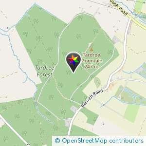 Tardree forest